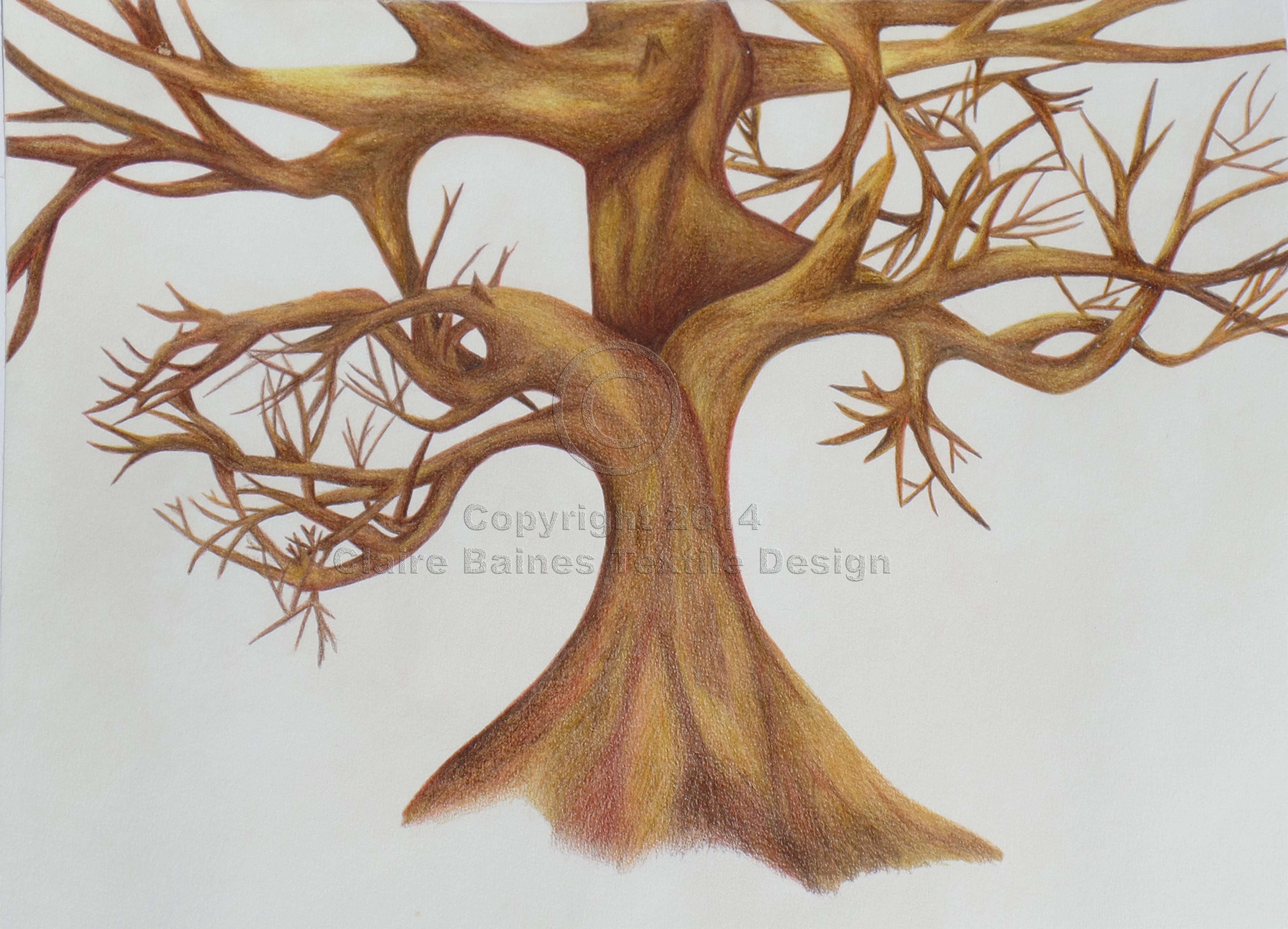 Featured image of post Natural Drawing Pictures Colour Pencil / Find images of pencil drawing.